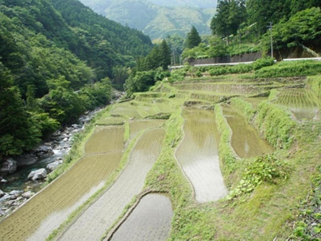 Auberge Tosayama Kōchi Zewnętrze zdjęcie